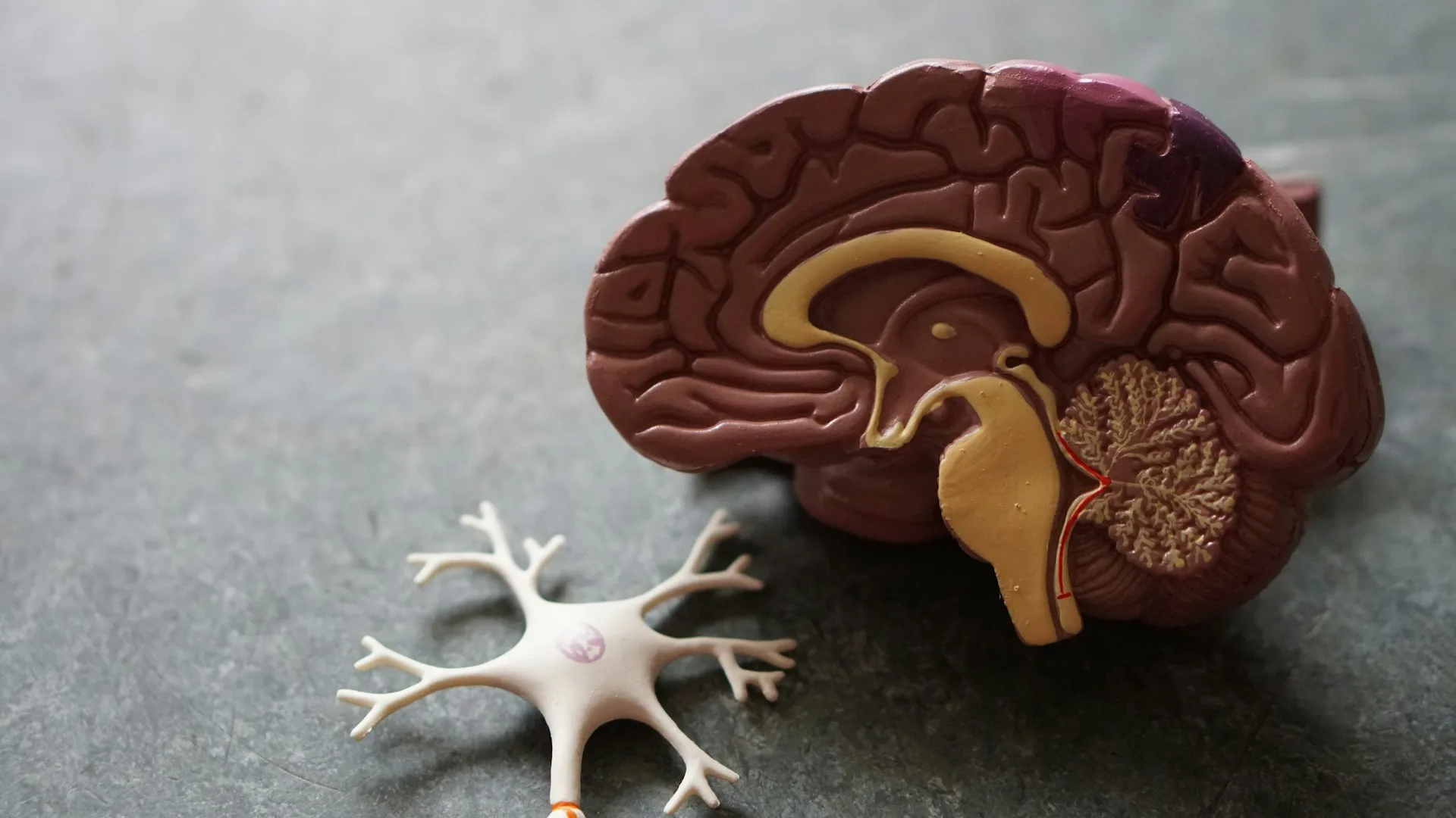 Vitamin B12 Deficiency: A Common Blind Spot in Singapore's Health Screenings