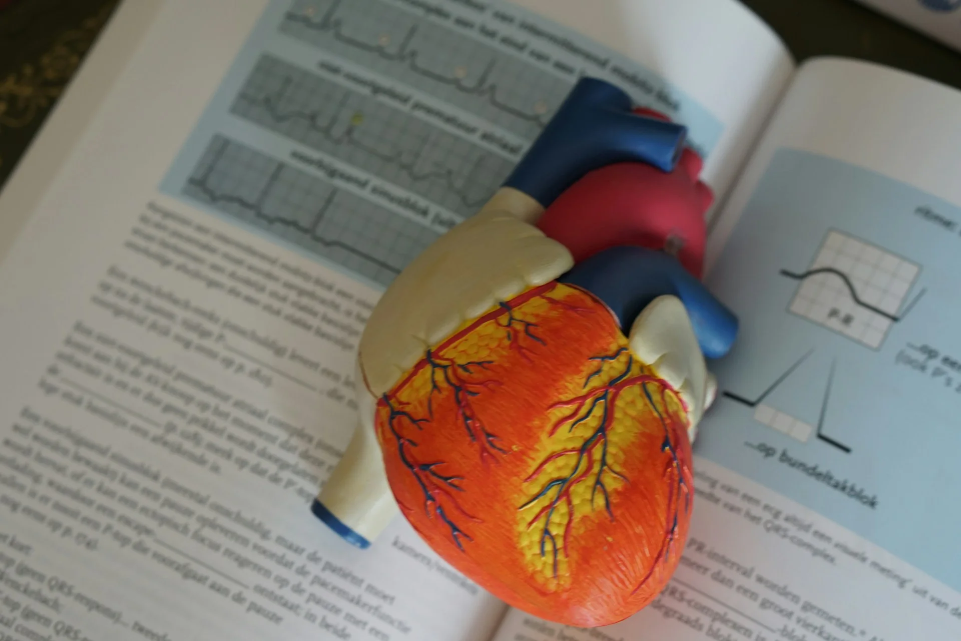Blood Pressure, Cholesterol and Blood Sugar: How Do They Fit Together?