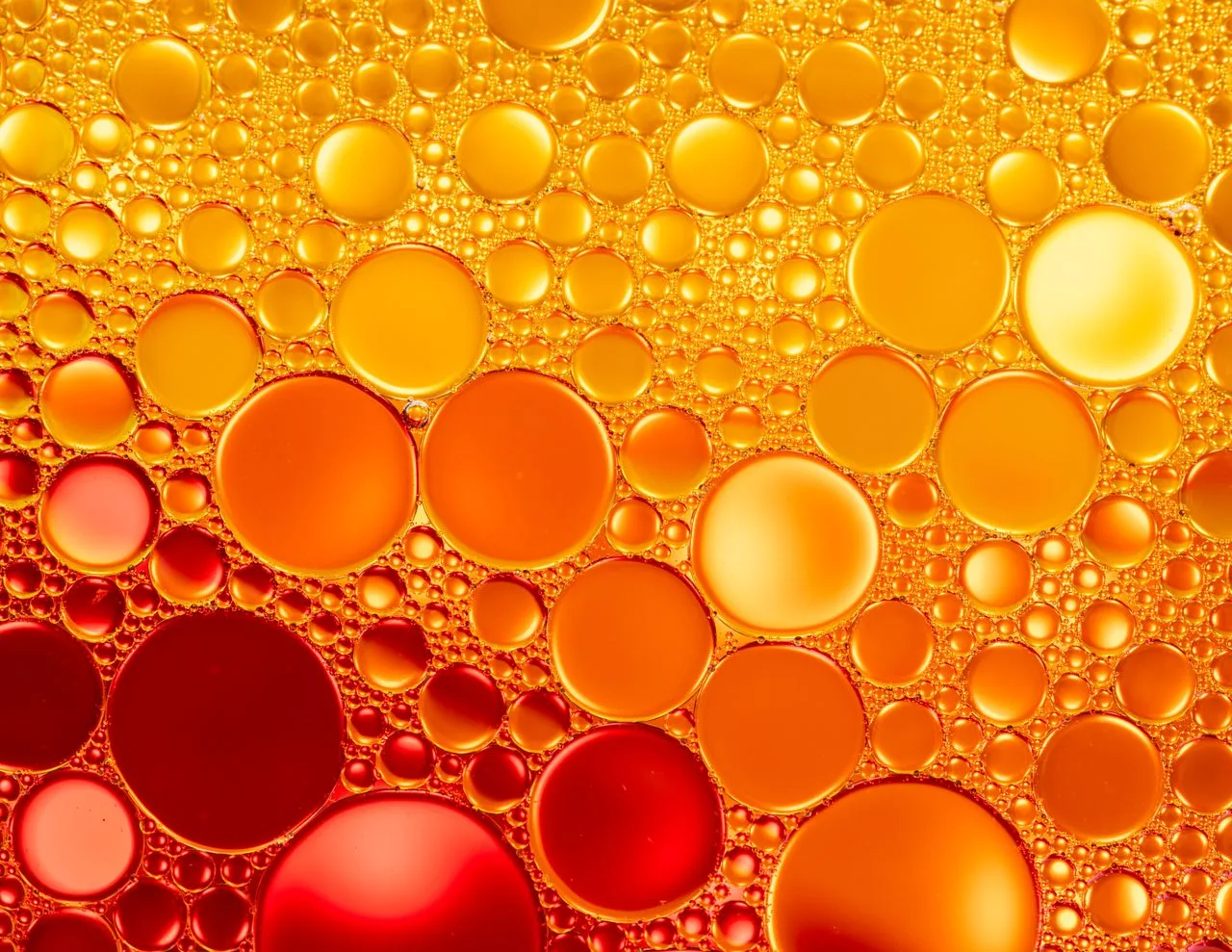 Why Your Cholesterol Reading Alone Is Not Enough