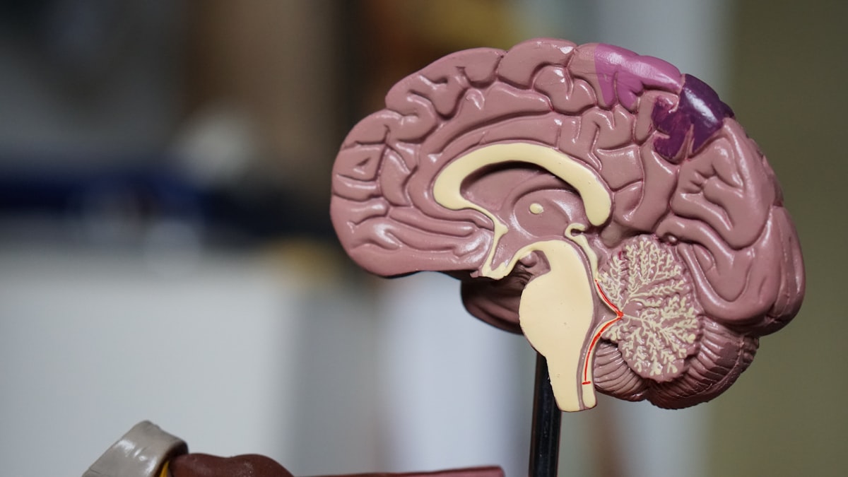 Seasoned technology leaders launch Genie, a health guide